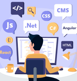 Web Development Training in fujairah
